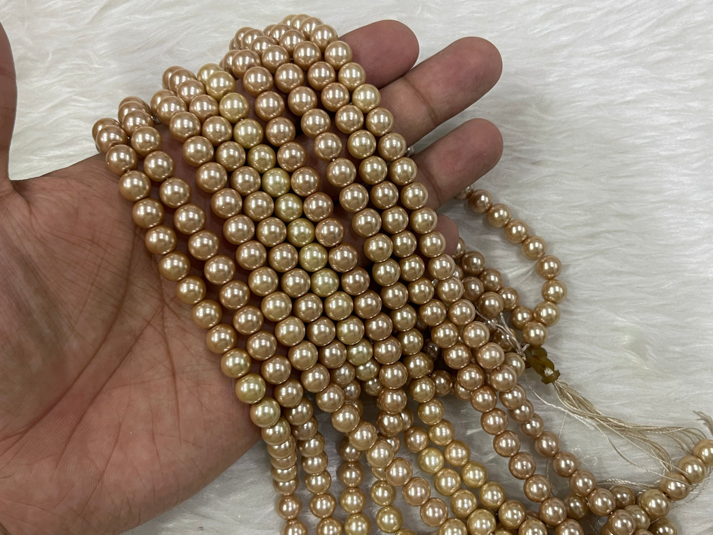Shell Pearls (8 mm) (Single & Shaded Colours)
