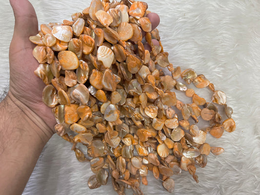 Mother of Pearls (AGMOP08)